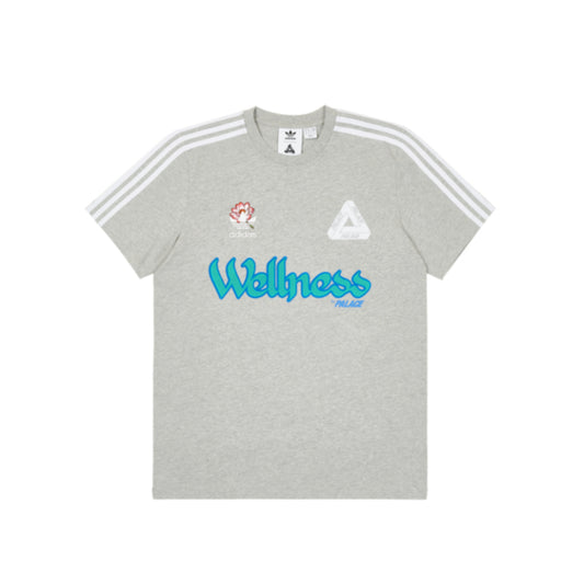 Palace Adidas Wellness T-Shirt Grey (2021)